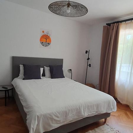 The Pines Serviced Apartments Braşov Eksteriør billede