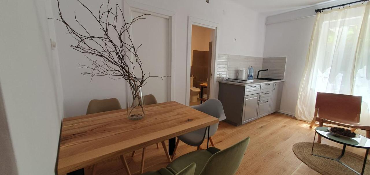 The Pines Serviced Apartments Braşov Eksteriør billede