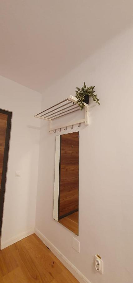 The Pines Serviced Apartments Braşov Eksteriør billede