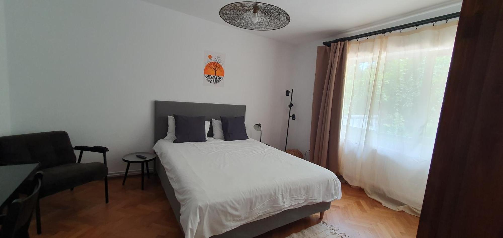 The Pines Serviced Apartments Braşov Eksteriør billede